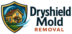 Dryshield Mold Removal